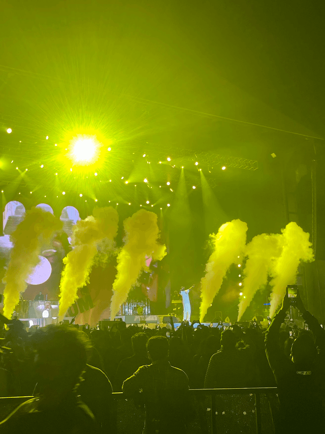 Akon India Tour 2025 concert photo