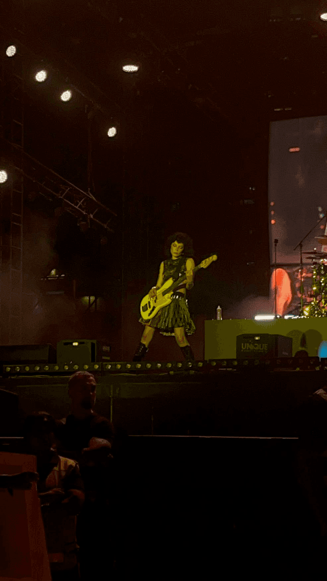 Lollapalooza 2024 concert photo