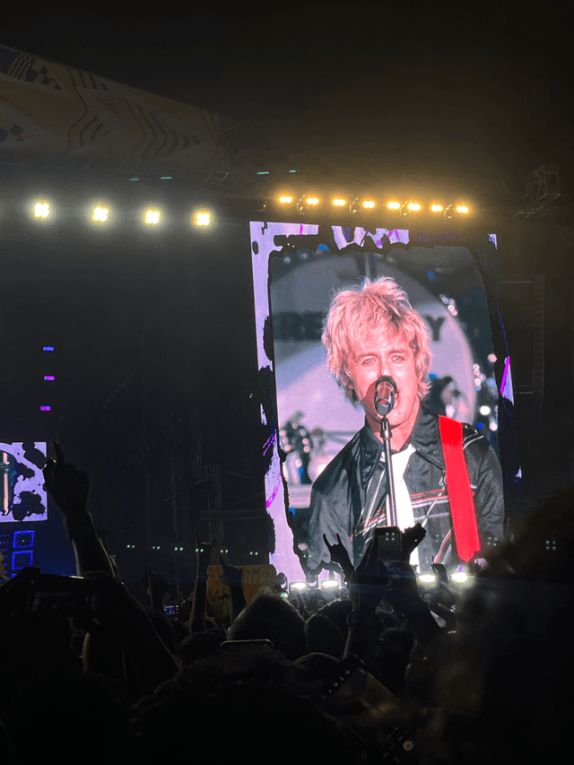 Lollapalooza 2025 concert photo