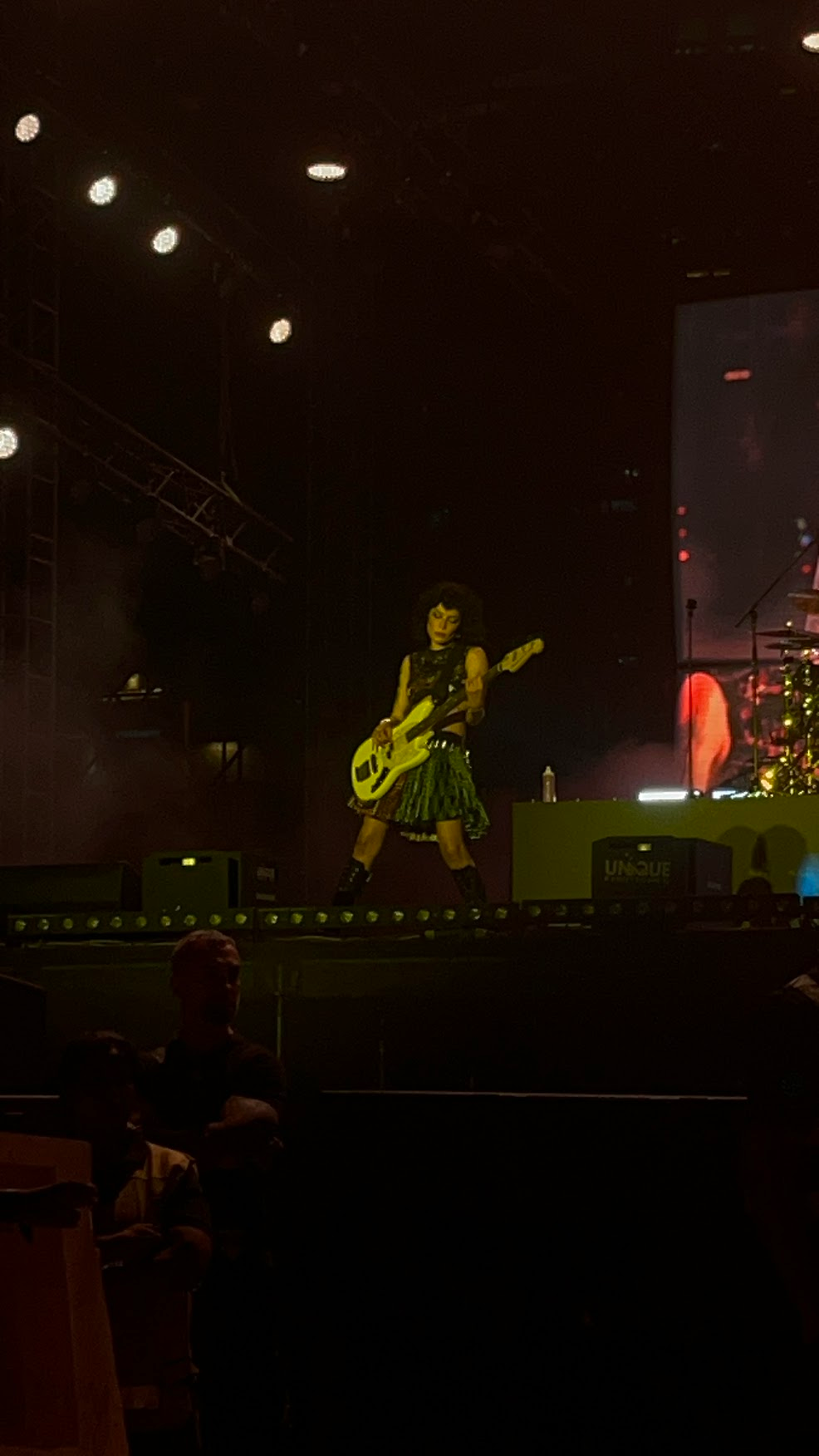 Lollapalooza 2024 concert photo