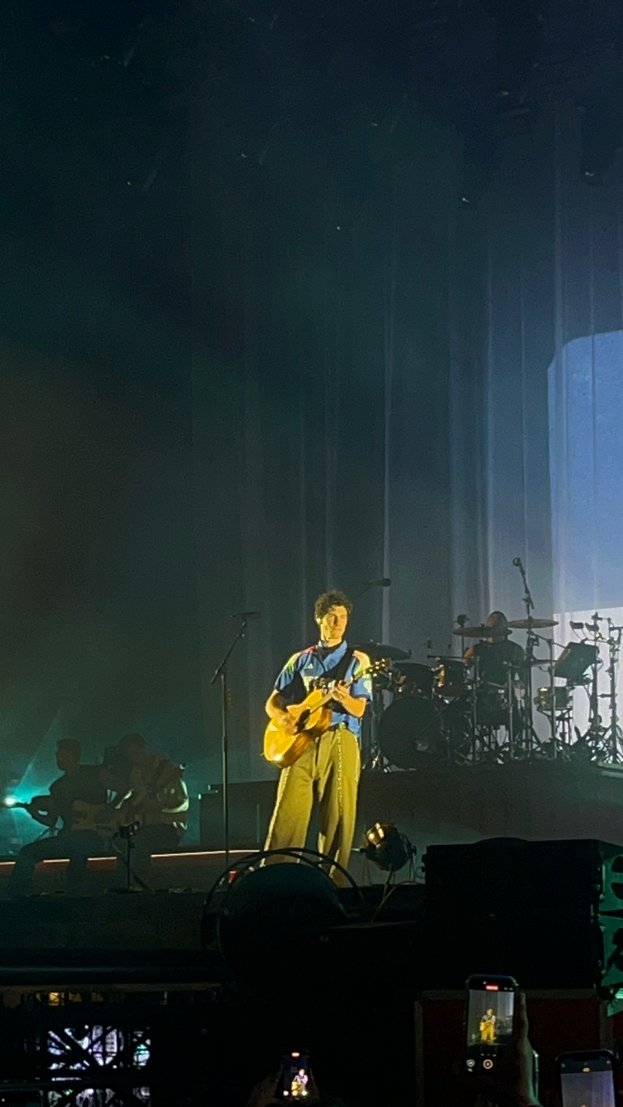 Lollapalooza 2025 concert photo